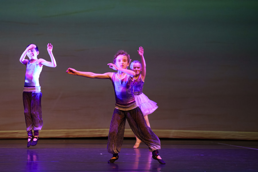 Danse inclusive
